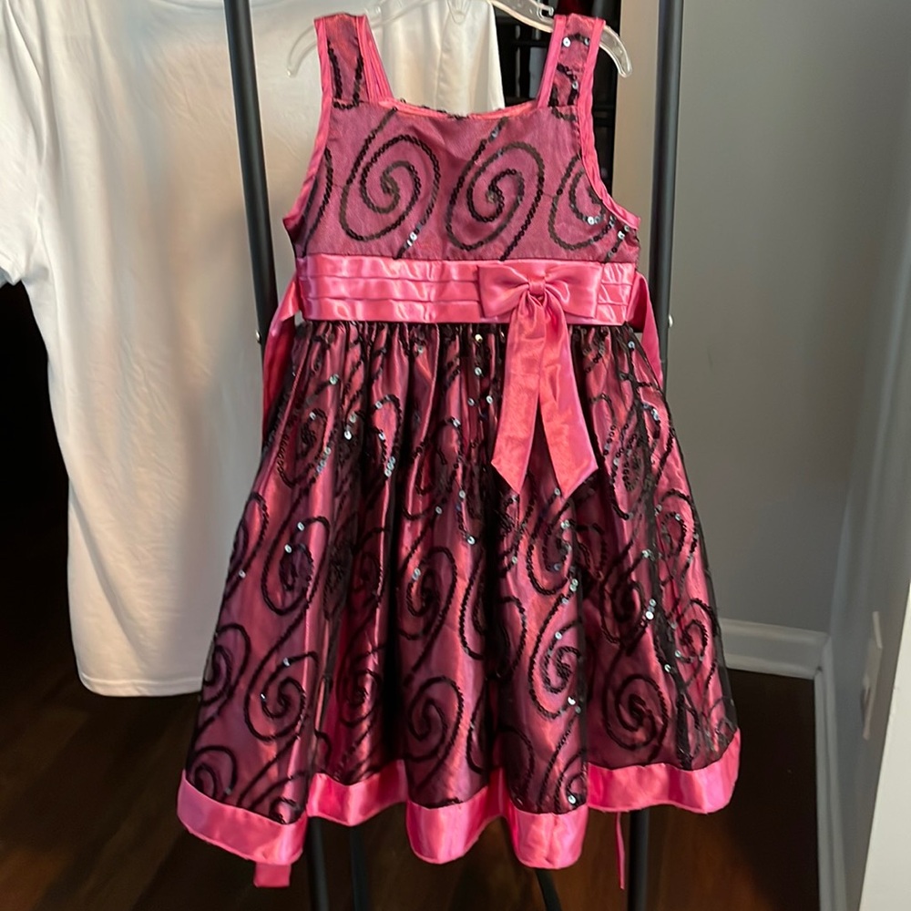 Cinderella Pink and Black Dress 5